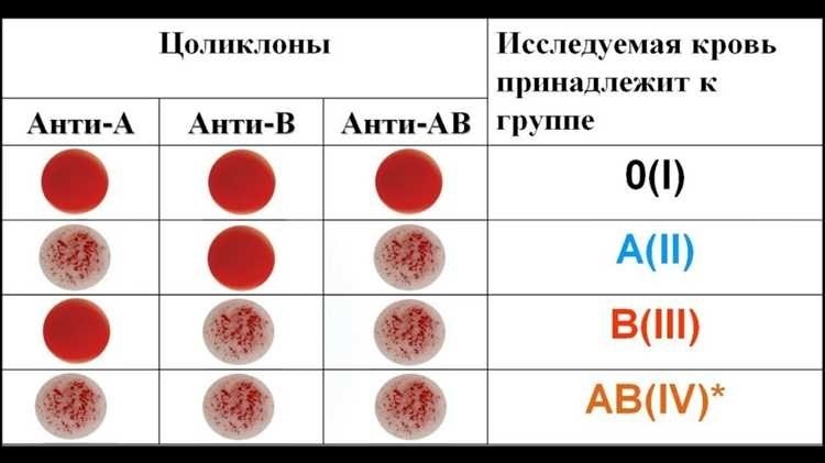 Какая группа крови лучше для здоровья научные факты и рекомендации